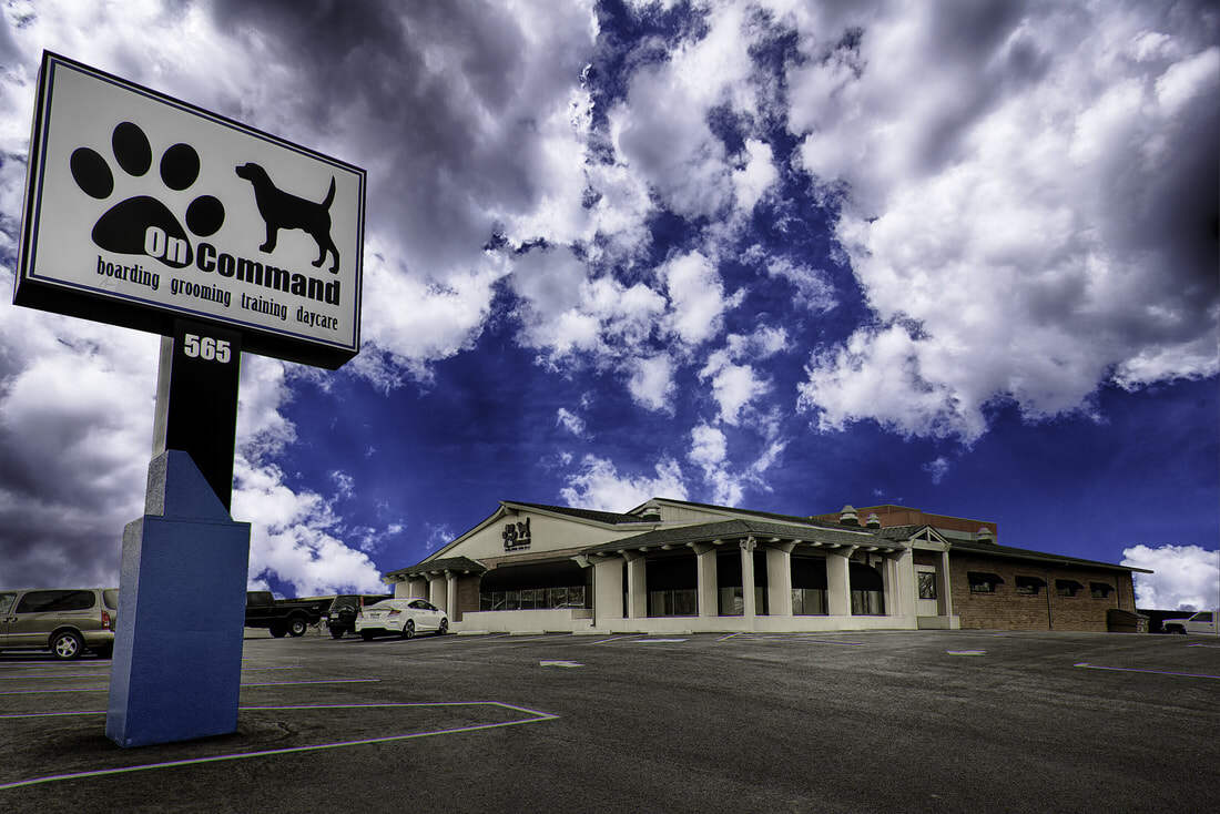 On Command Dog Boarding exterior building
