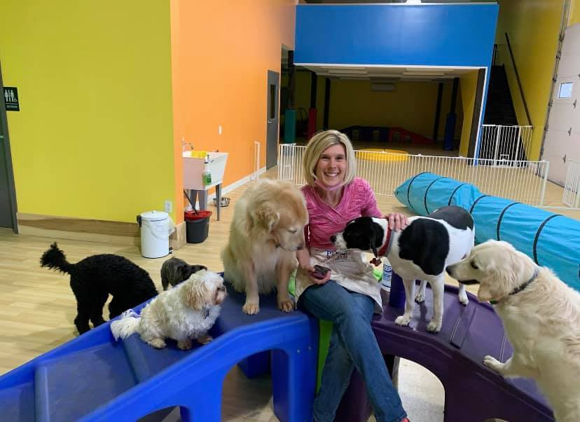 pups playhouse dog daycare, boarding, and grooming business 