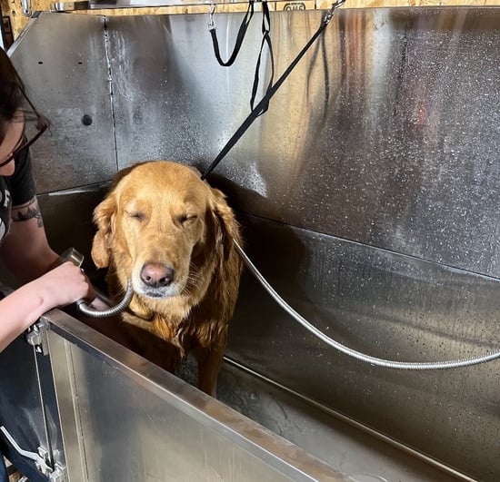 Antelope Creek Estates