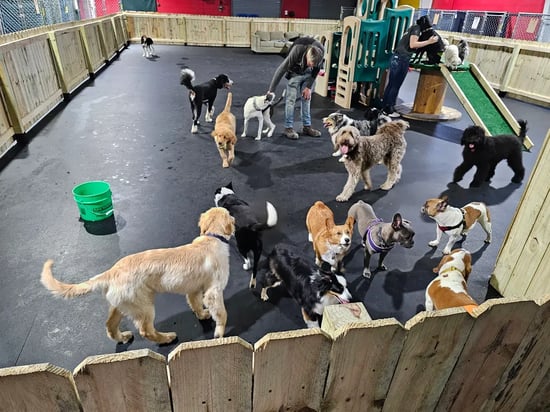 Bones and Belly Rubs