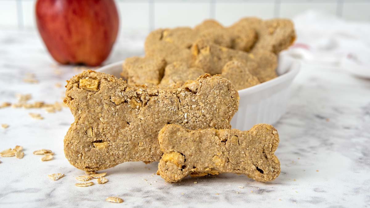 Fall-Inspired Dog Treats: 4 Seasonal Recipes to Try