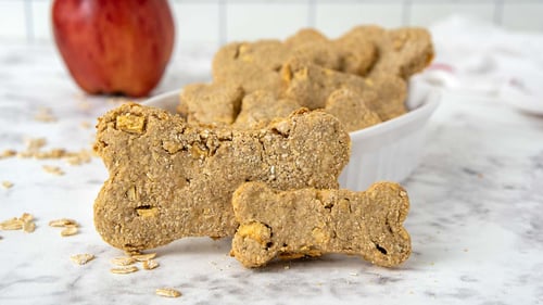 Fall-Inspired Dog Treats: 4 Seasonal Recipes to Try