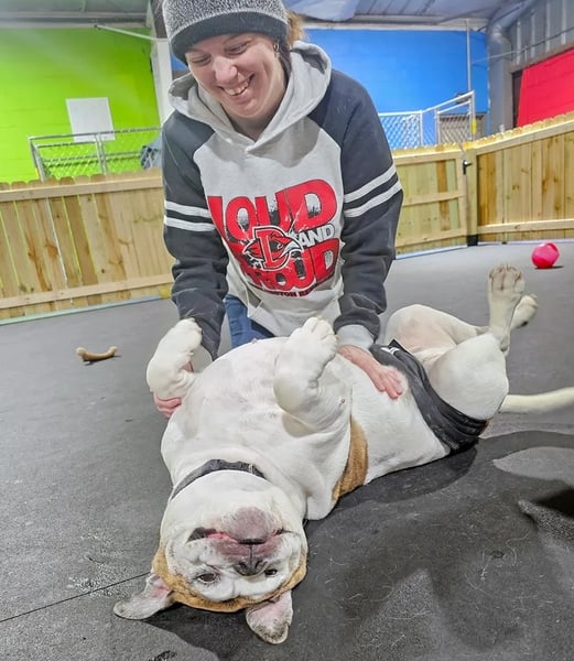 Bones and Belly Rubs