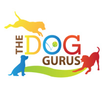 DogGuru