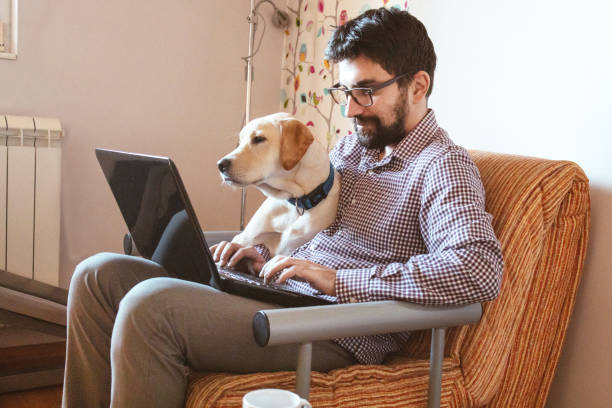 pet-care business owner with laptop and dog on lap sending emails