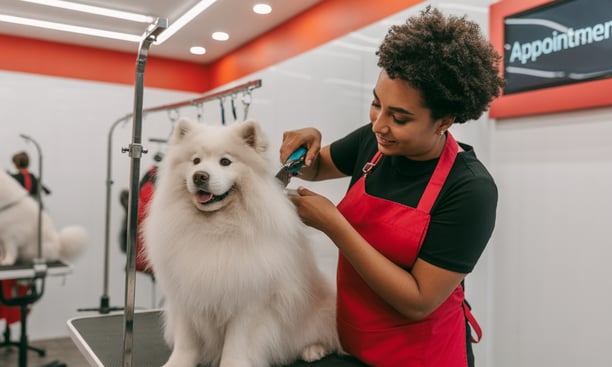 dog groomer smiling and caring for a pup