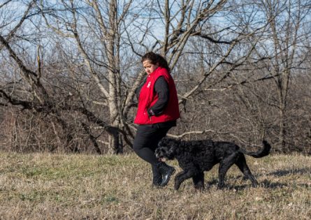 The Ecosystem of a Pet Resort: Unveiling Success Strategies