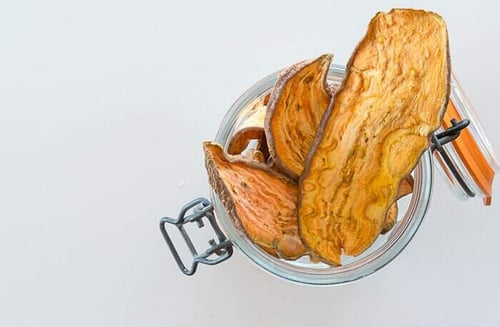 Fall-Inspired Dog Treats: 4 Seasonal Recipes to Try