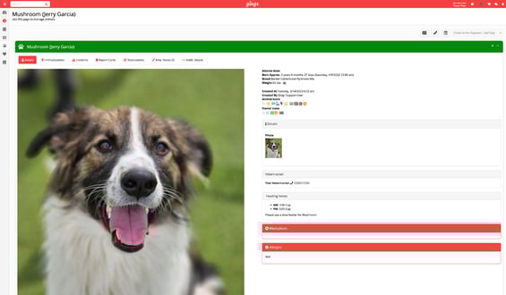 A screenshot of a pet profile collected via Gingr PreCheck.