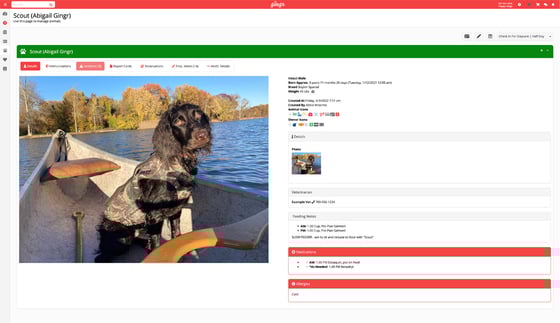 An example of a pet profile in Gingr's dog grooming software.