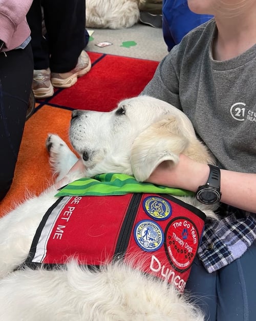 Therapy Dog Duncan