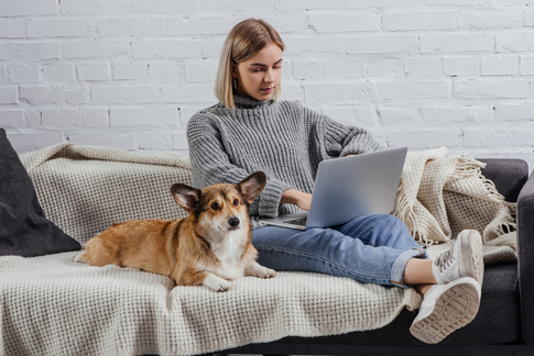 Explore the features and benefits of Gingr Payments