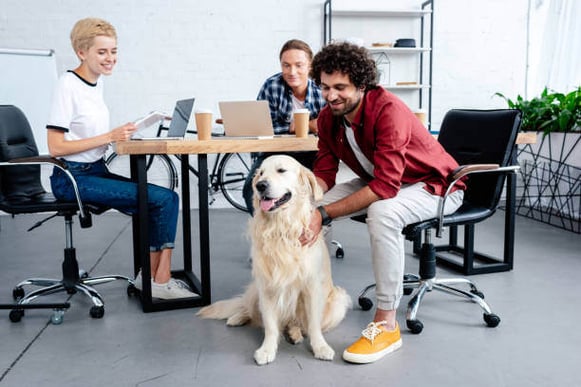 A group of people sit around a large table as one person in the front pets a golden retriever dog