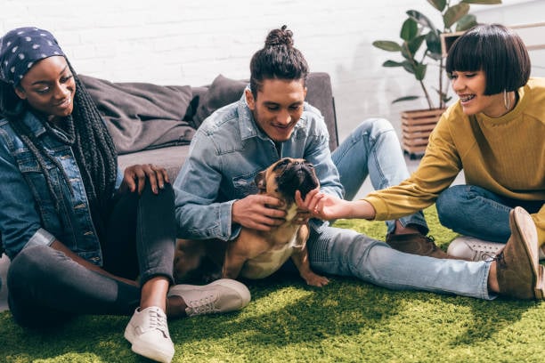 Gen Z friends hanging out with a dog