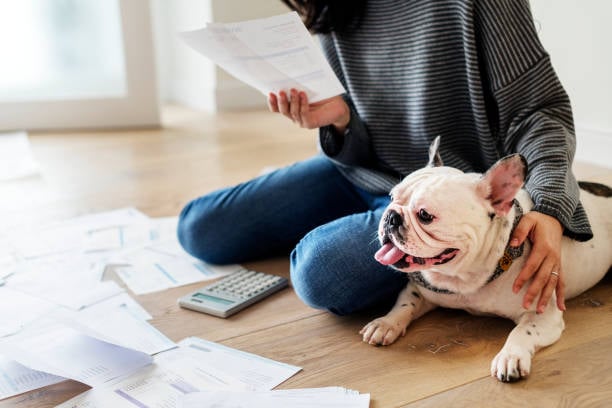 Financial Management Tips for Pet-Care Entrepreneurs
