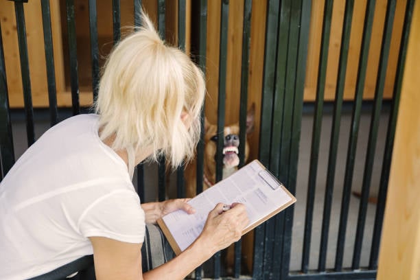 kennel owner using paper forms on clipboard 
