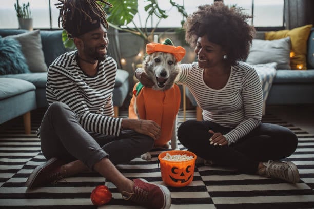 family with halloween-themed dog cozy at home