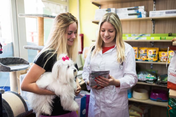 dog groomer offering add-on pet treats with gingr's retail integration