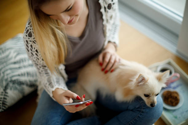 pet parent looking at phone with small dog in lap