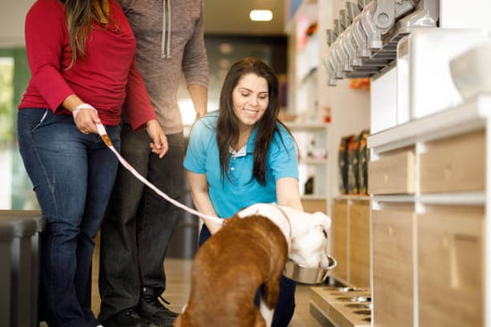 A pet business employee interacts with customers