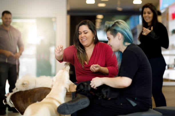 happy team giving dogs treats in the lobby of pet business