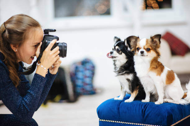 Hosting a Pet Photography Day at Your Pet-Care Business
