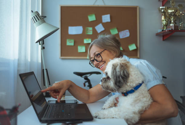 Email Marketing Strategies for Pet-Care Businesses