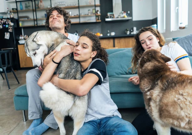 gen Z friends or roommates with multiple dogs