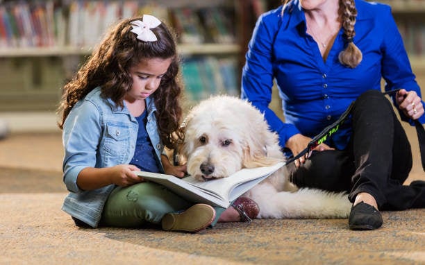 A child reads to a therapy dog