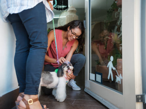 meet and greet at a new dog daycare