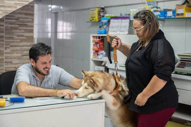 dog trainer and front-desk staff giving dog a treat