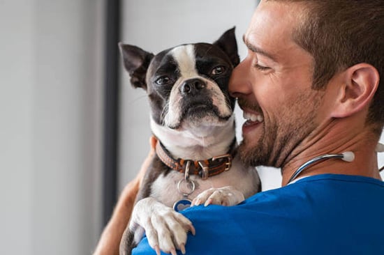 A pet-care staff member holds a dog