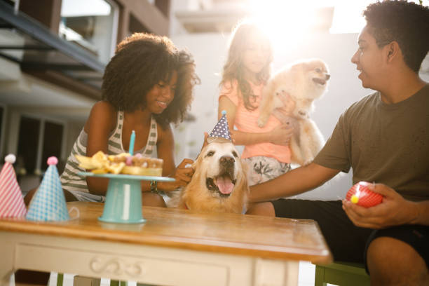people and their dogs celebrating National Dog Day with a party and treats