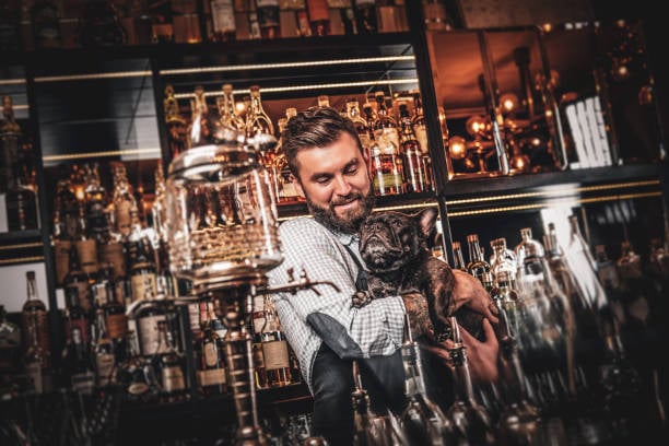 bartender holding smug dog behind bar