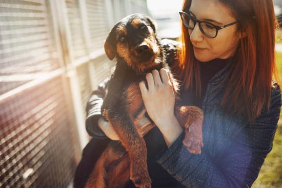 A woman holds a dog outside a kennel