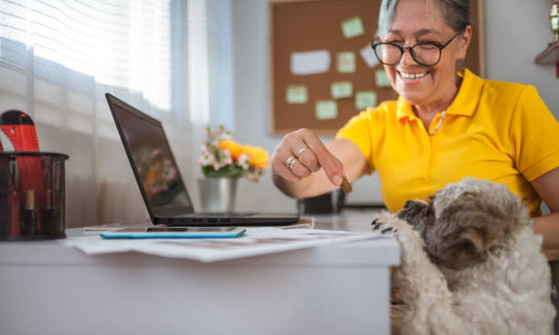 pet business owner on computer with dog and treat