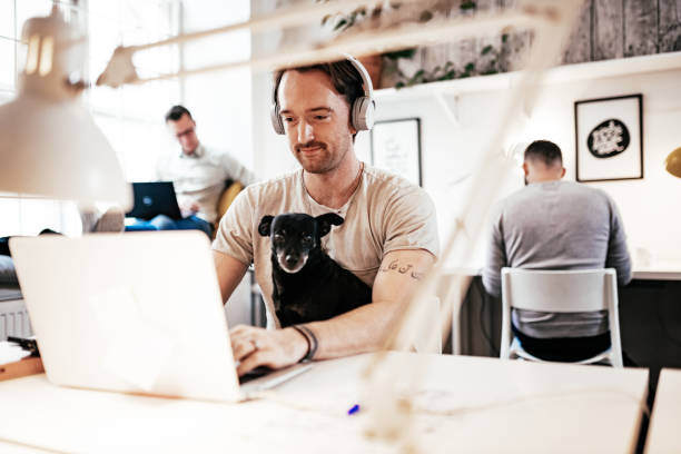 International Pet-Care Practices: Learning from Abroad