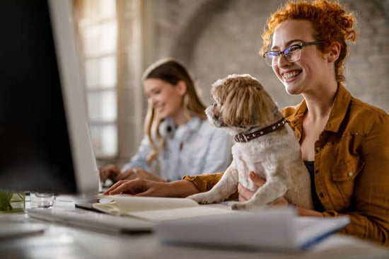 A woman uses a computer as a dog sits on her lap, and another coworker sits nearby