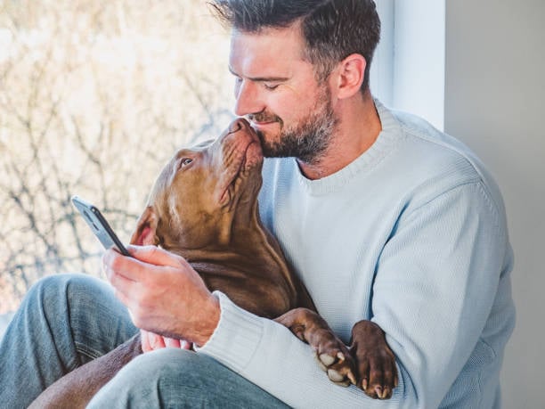 man with smartphone texting while dog leans up to his face