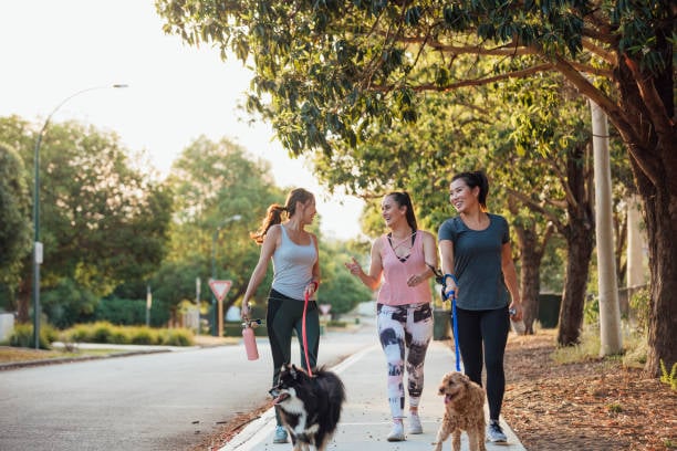 friends walking dogs and talking