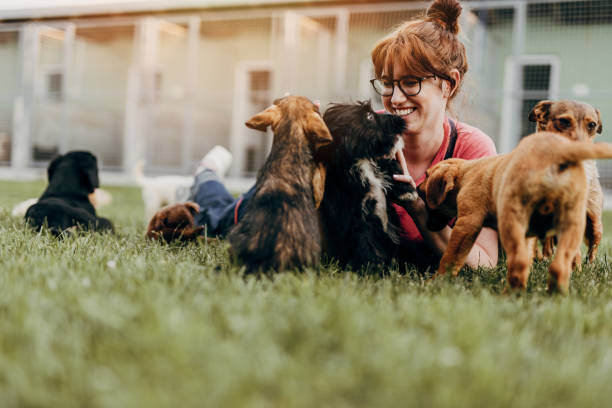 A woman plays with a group of dogs outside