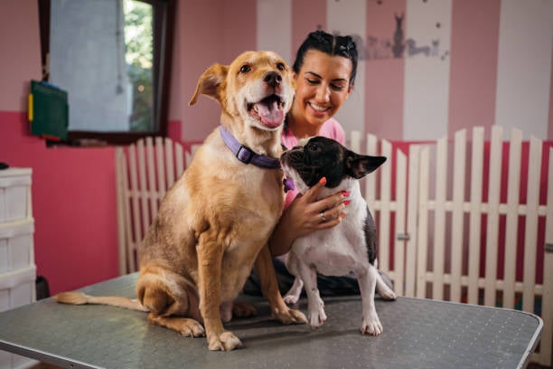 happy dogs and kennel owner