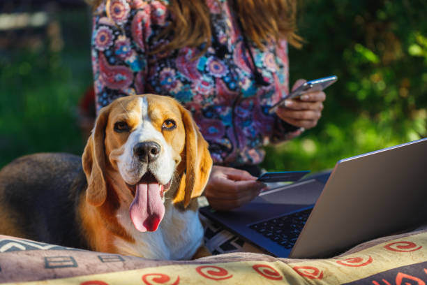 Cybersecurity Measures for Protecting Customer Data