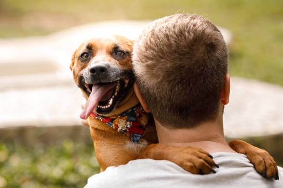 Happy dog hugging a man