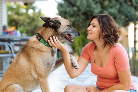 A woman pets her dog wearing a smart collar