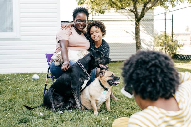 two dogs posting for photo shoot with family outside