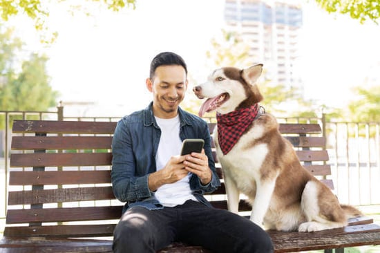 A man looks at his phone while sitting next to his dog outside