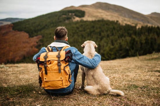 A man sits next to a dog outside