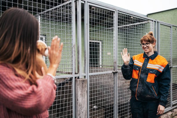 kennel owner reuniting puppy with its pet parent