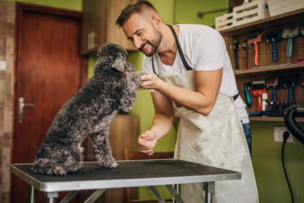 happy dog groomer shaking paw of his furry client